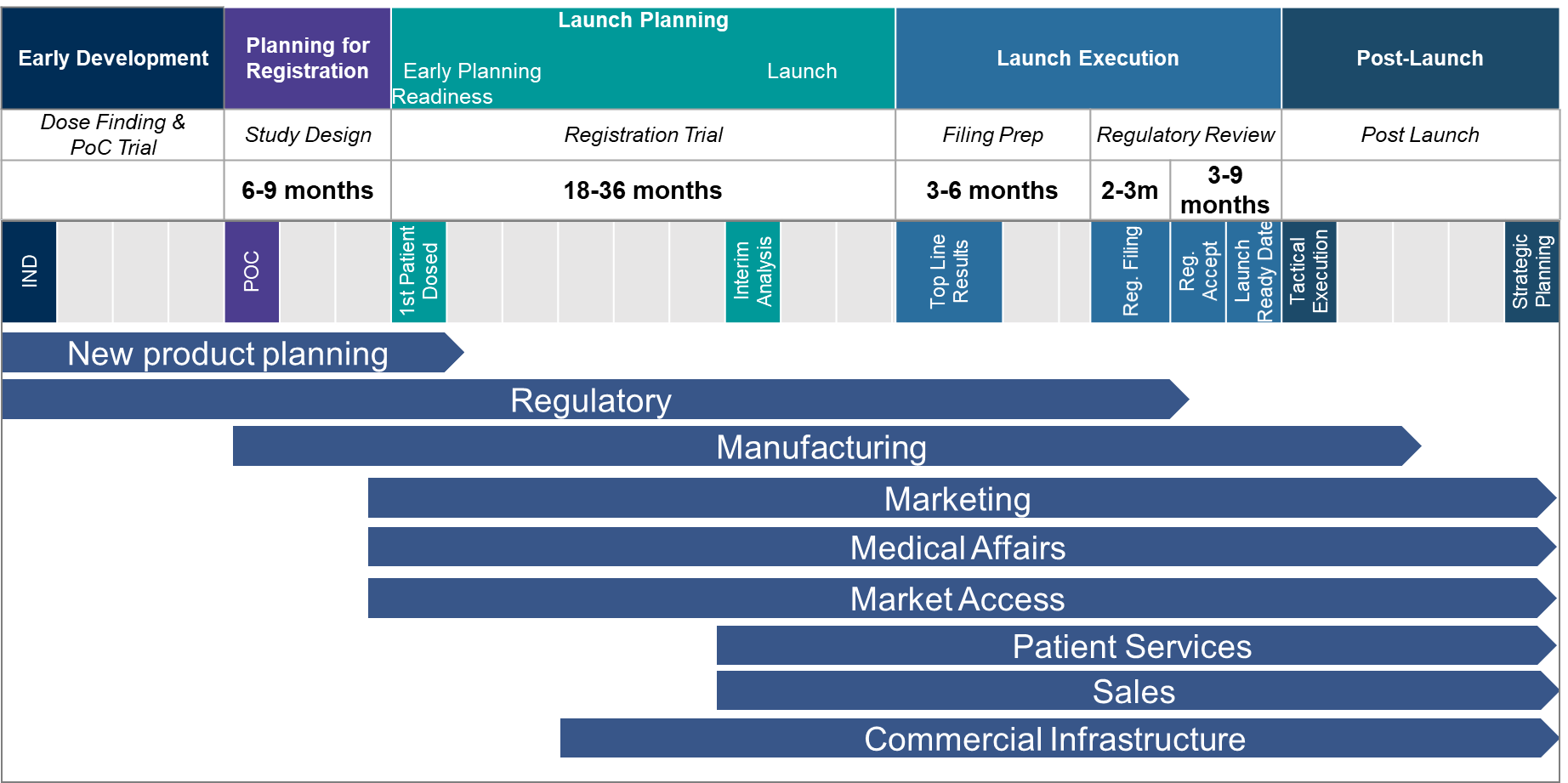 business plan for drug launch